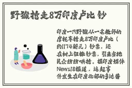 嫩嫩的白虎逼